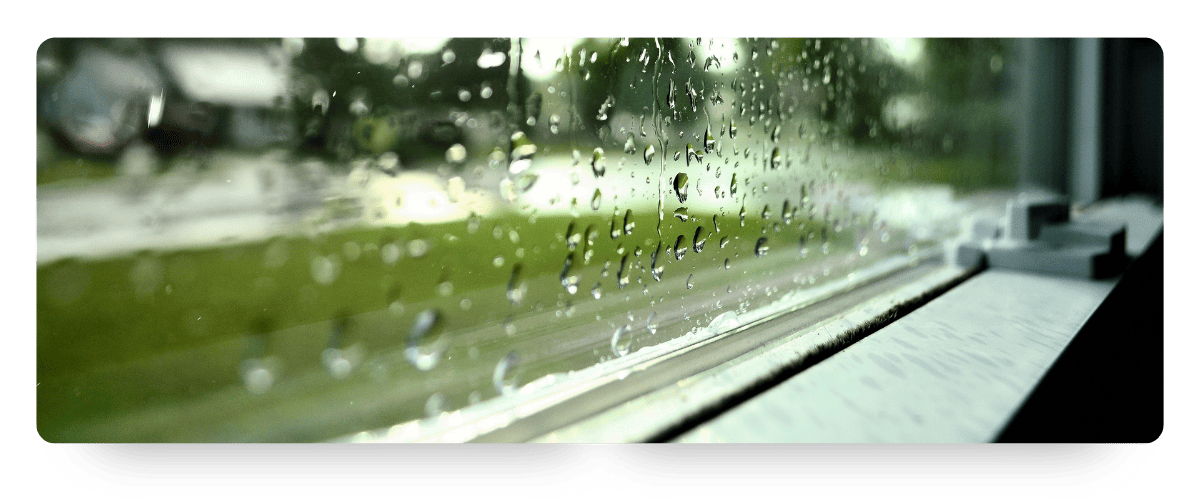 Rain on a window